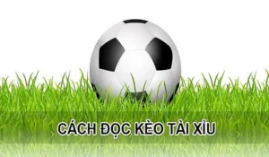 Tổng Hợp Bí Kíp Cách Chơi Kèo Tài Xỉu Đỉnh Cao