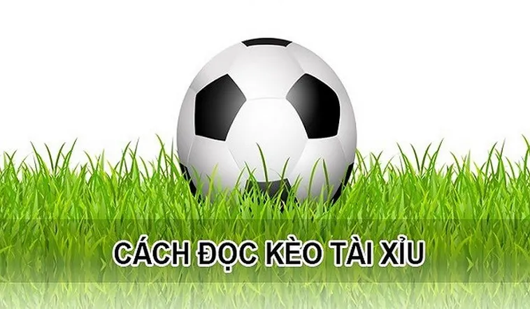 Tổng Hợp Bí Kíp Cách Chơi Kèo Tài Xỉu Đỉnh Cao
