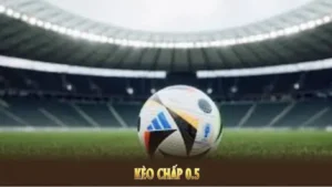 Bí Kíp Chinh Phục Mọi Trận Đấu Với Cách Chơi Kèo Chấp 0.5 Dễ Hiểu
