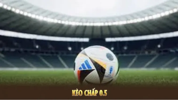 Bí Kíp Chinh Phục Mọi Trận Đấu Với Cách Chơi Kèo Chấp 0.5 Dễ Hiểu