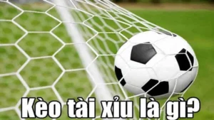Cách Chơi Kèo Tài Xỉu Bóng Đá Bí Quyết Đọc Kèo Chuẩn Xác Nhất